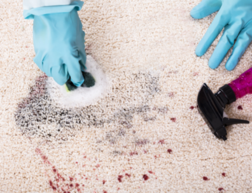 Fun Remedies for a Cleaner Carpet