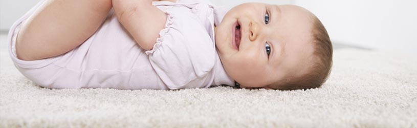 Professional Carpet Cleaning Services